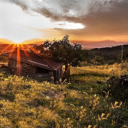 Fattoria La Tavernuzza Grassina Exteriér fotografie