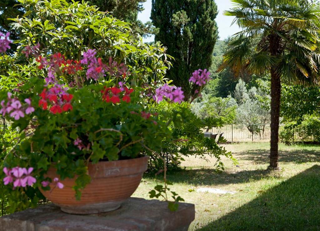 Fattoria La Tavernuzza Grassina Pokoj fotografie