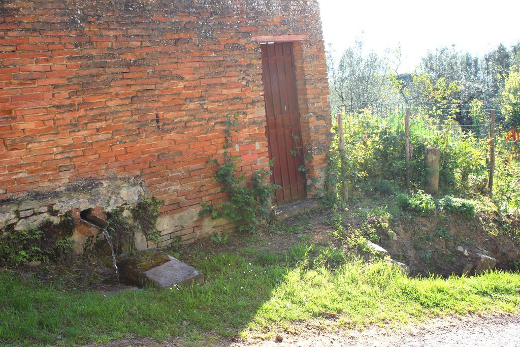 Fattoria La Tavernuzza Grassina Exteriér fotografie