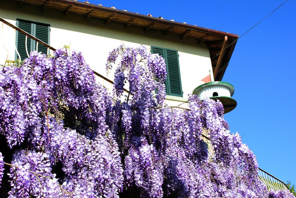 Fattoria La Tavernuzza Grassina Exteriér fotografie