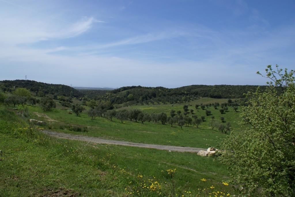 Fattoria La Tavernuzza Grassina Exteriér fotografie
